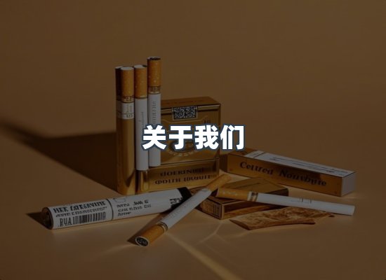 专业团队